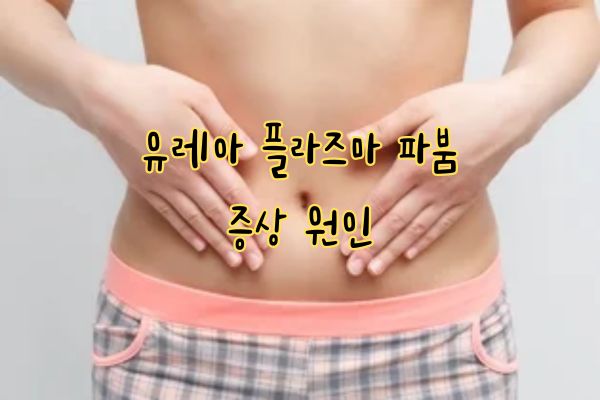 유레아 플라즈마 파붐 증상 원인