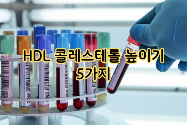 HDL 콜레스테롤 높이기 5가지