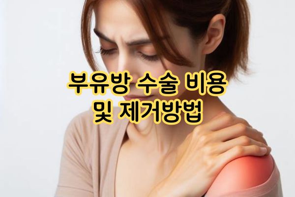 부유방 수술 비용 및 제거방법