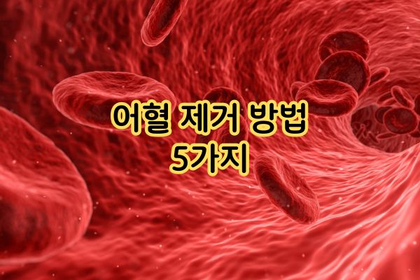 어혈 제거 방법 5가지