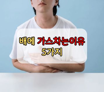 배에 가스차는이유 5가지