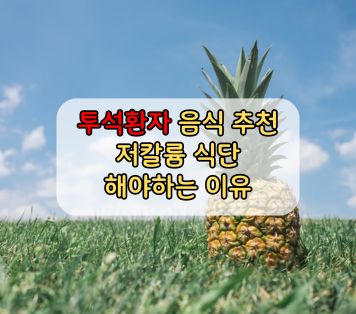 투석환자 음식 추천 저칼륨 식단